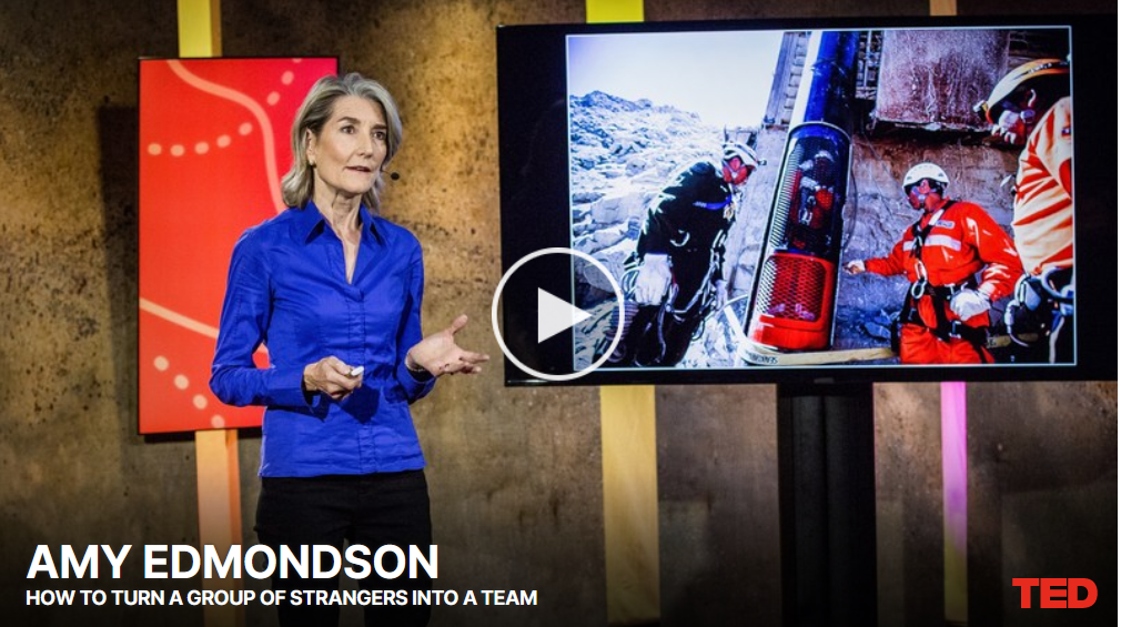 Screenshot des Covers des Youtube-Videos zum Ted Talk von Amy Edmondson